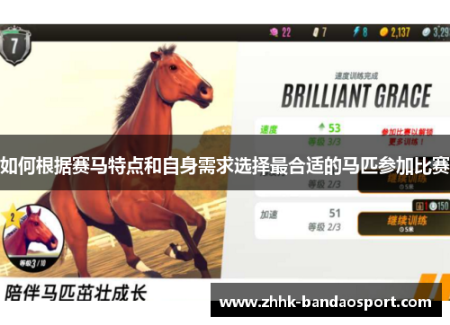 如何根据赛马特点和自身需求选择最合适的马匹参加比赛