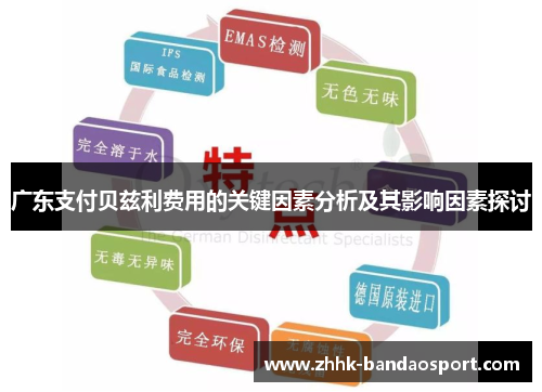 广东支付贝兹利费用的关键因素分析及其影响因素探讨