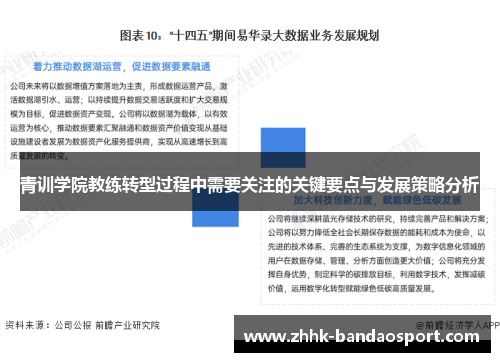 青训学院教练转型过程中需要关注的关键要点与发展策略分析 青训学院教练转型过程中需要关注的关键要点与发展策略分析